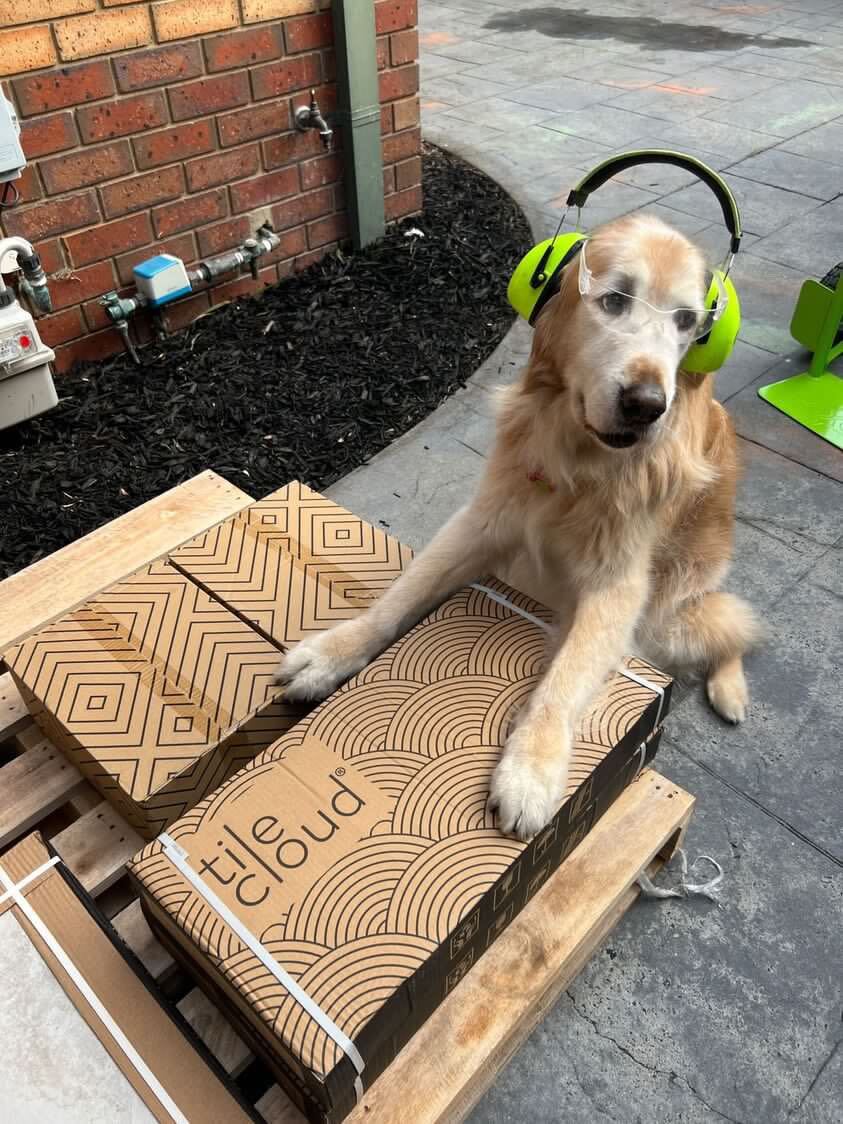 Paw-some Pet-Friendly Tile Flooring Options (and What to Avoid)