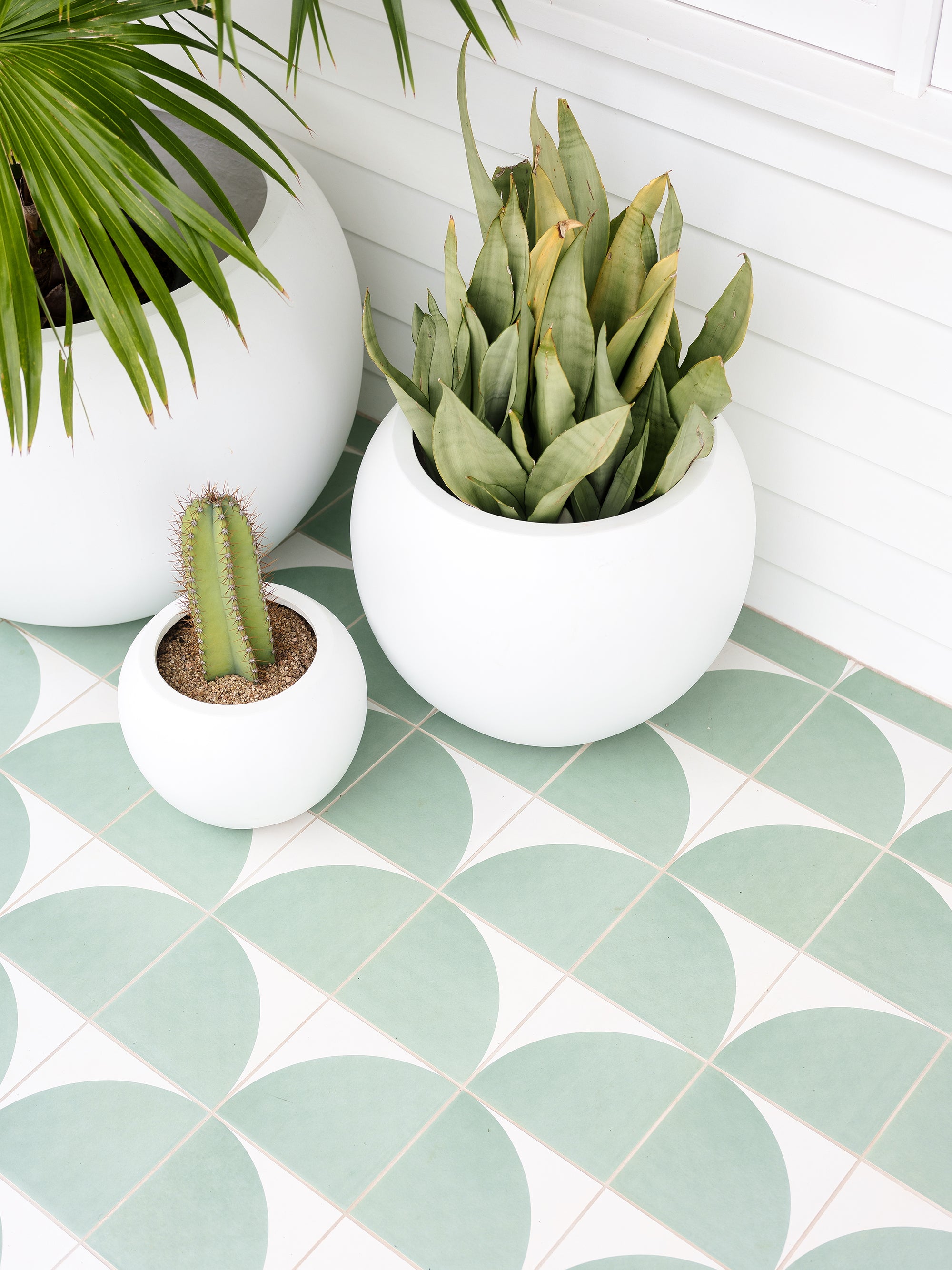 Encaustic green retro tiles on a front porch with cacti and plants in white round pots