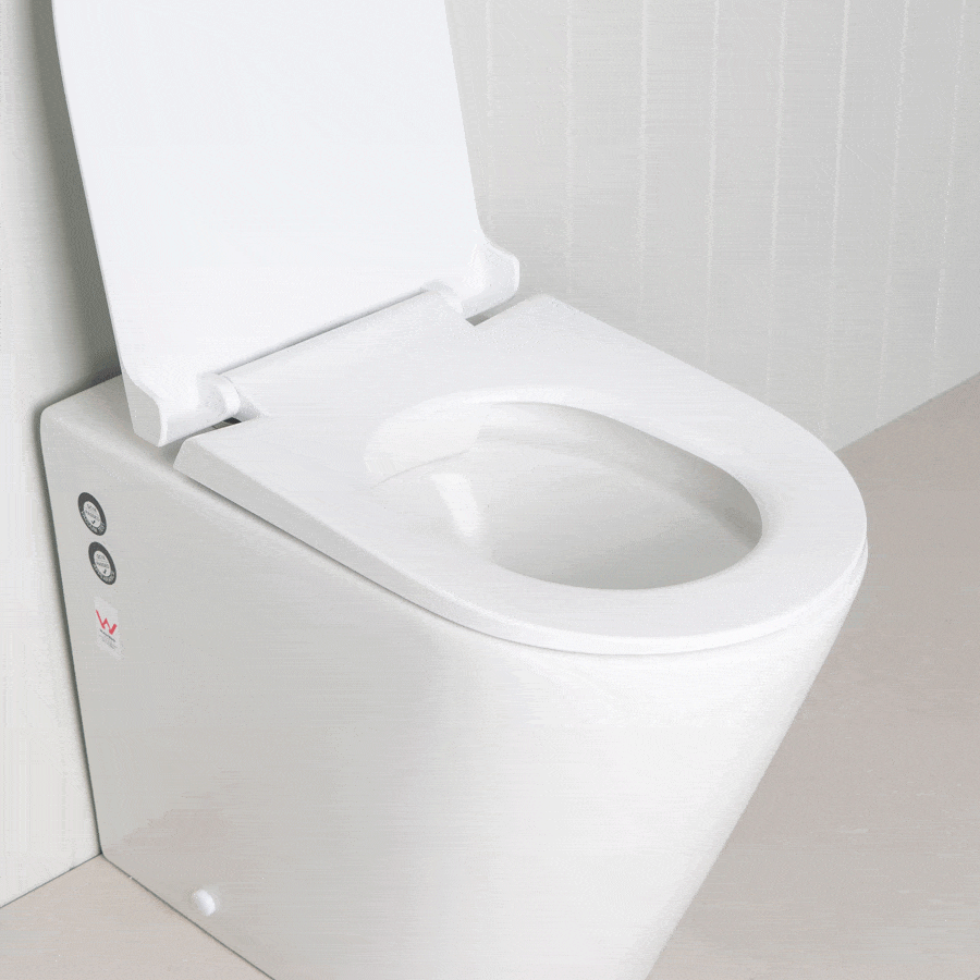 TileCloud TOILETS Angled In-Wall Toilet With Round Chrome Buttons