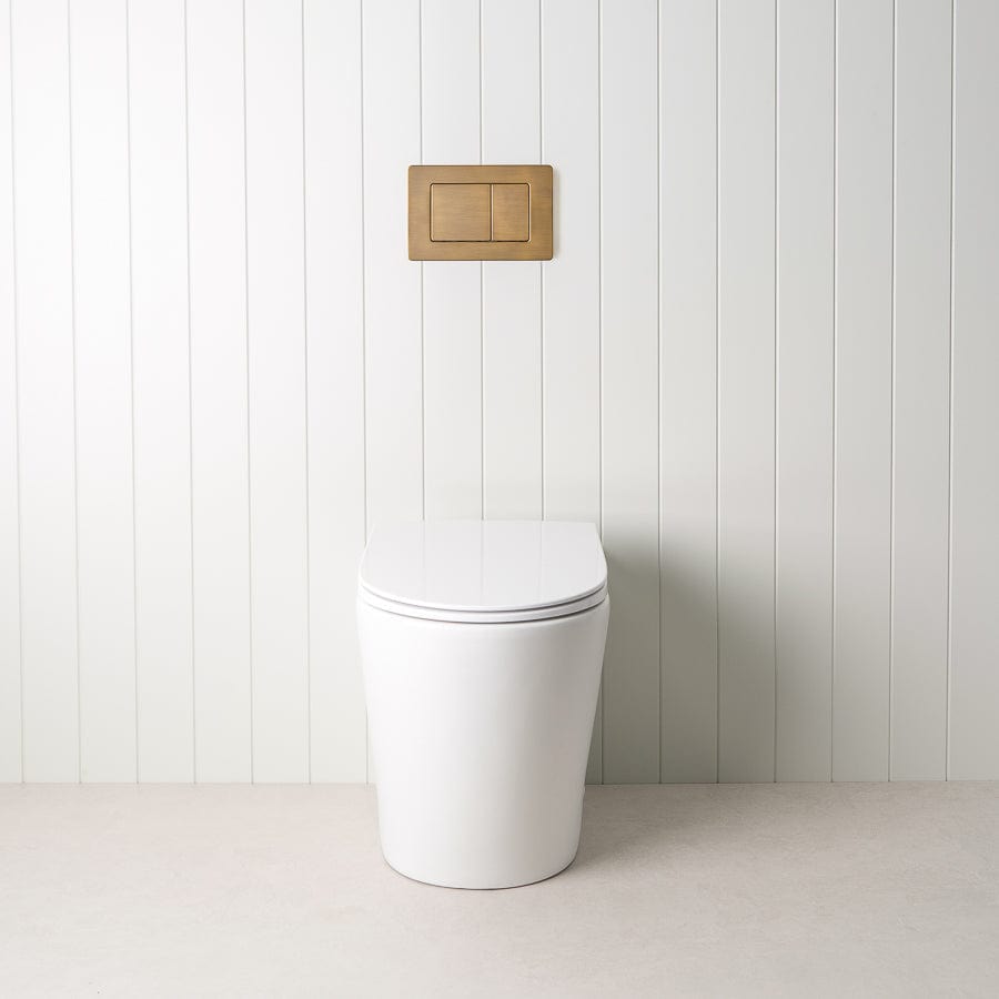 TileCloud TOILETS Angled In-Wall Toilet With Rectangle Antique Brass Buttons