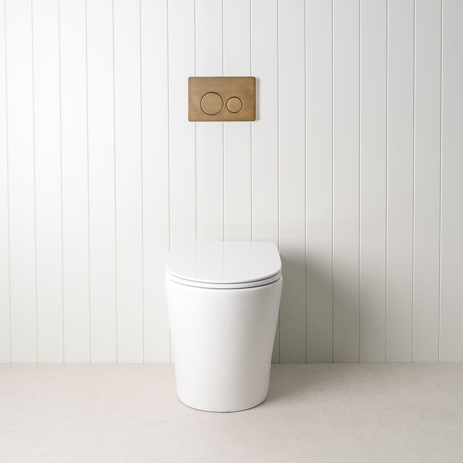 TileCloud TOILETS Angled In-Wall Toilet With Round Antique Brass Buttons