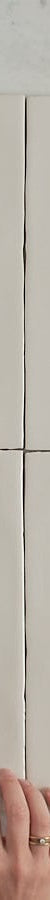 TileCloud TILE Newport Gloss Subway Bone Tile