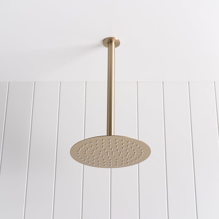 Ceiling Shower Arm and Head Warm Brushed Nickel