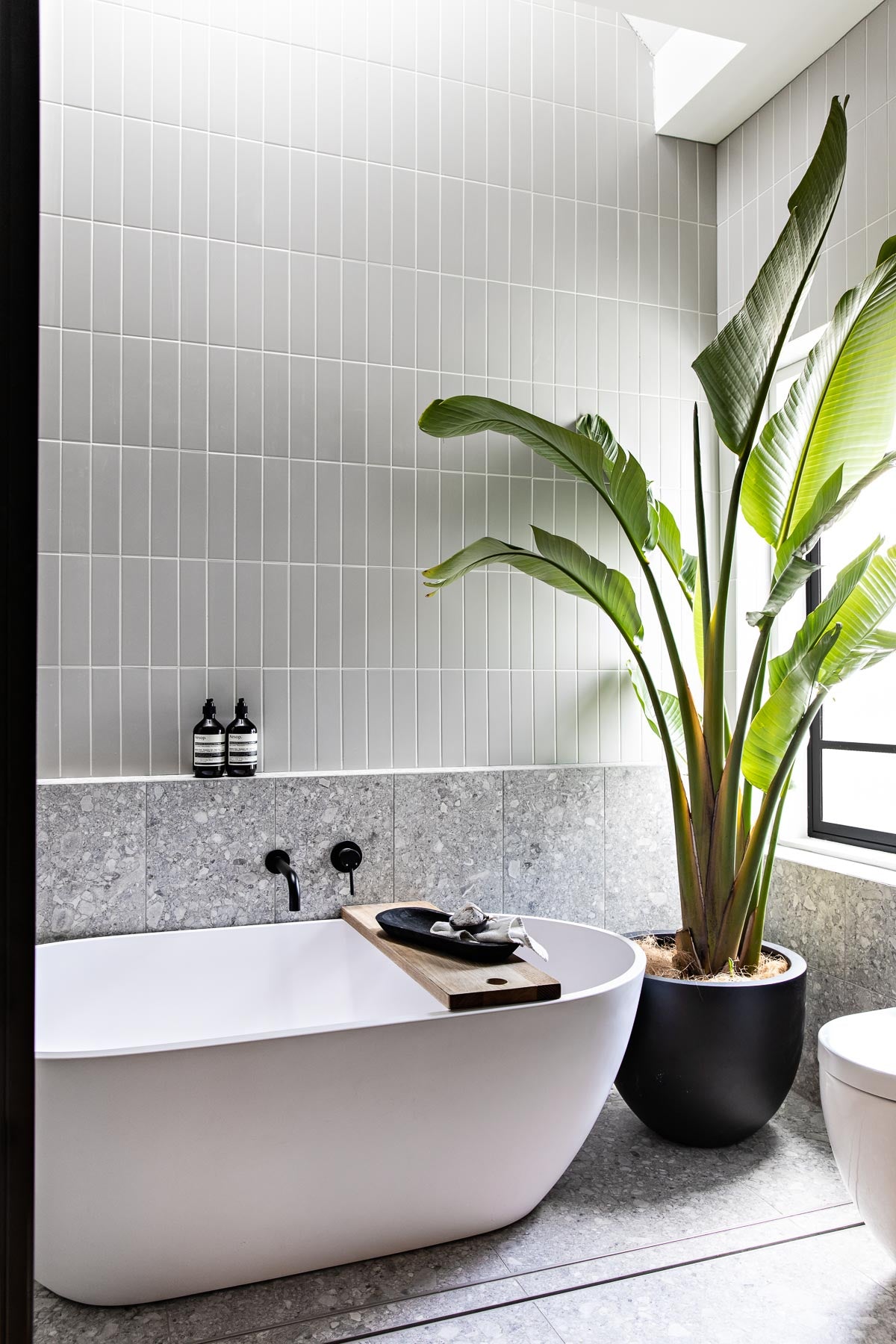 Bland to Botanical: 20 Bathroom-Friendly Plants & Styling Tips