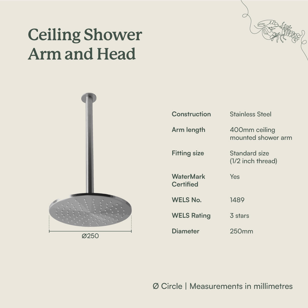 Ceiling Shower Arm and Head Antique Brass