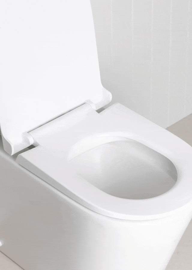 TileCloud TOILETS Angled Back-To-Wall Toilet Suite