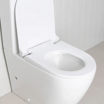 Curved Back-To-Wall Toilet Suite