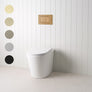 Angled In-Wall Toilet With Rectangle Antique Brass Buttons