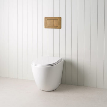 Curved In-Wall Toilet With Rectangle Antique Brass Buttons