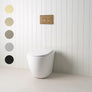 Curved In-Wall Toilet With Round Antique Brass Buttons