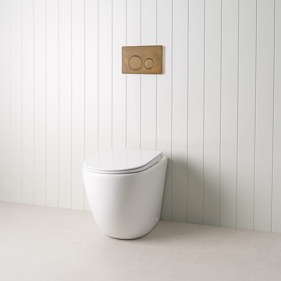 TileCloud TOILETS Curved In-Wall Toilet With Round Antique Brass Buttons
