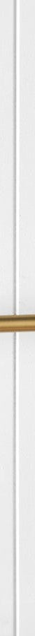 TileCloud TAPWARE Appliance Pull Brushed Brass