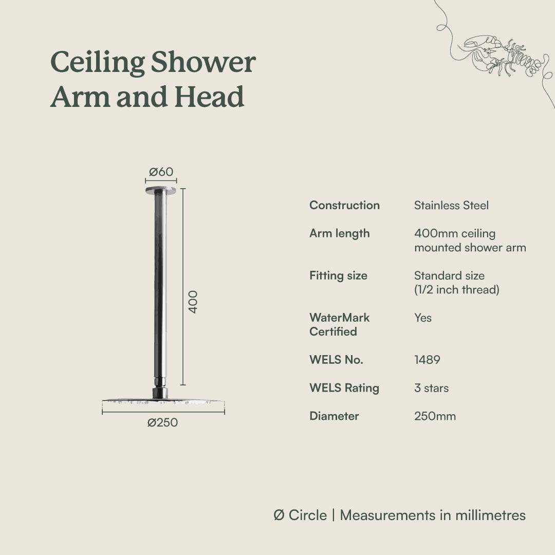 TileCloud TAPWARE Ceiling Shower Arm and Head Antique Brass