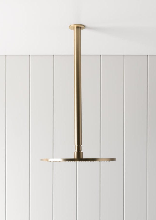 TileCloud TAPWARE Ceiling Shower Arm and Head Brushed Brass