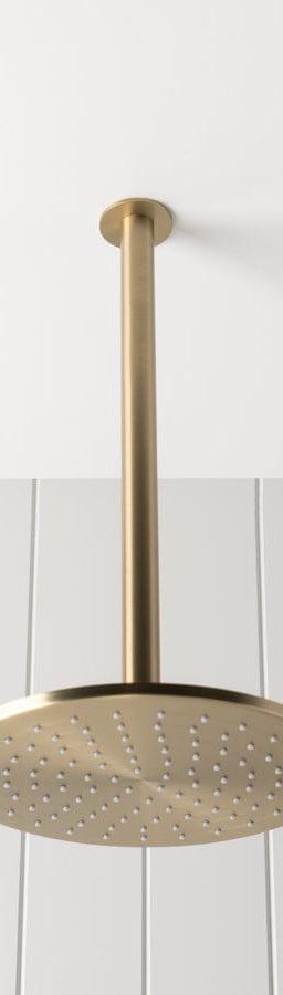 TileCloud TAPWARE Ceiling Shower Arm and Head Brushed Brass