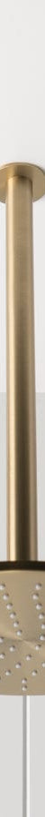 TileCloud TAPWARE Ceiling Shower Arm and Head Brushed Brass