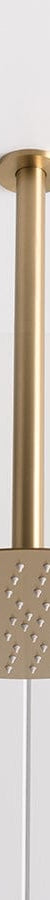 TileCloud TAPWARE Ceiling Shower Arm and Head Brushed Brass