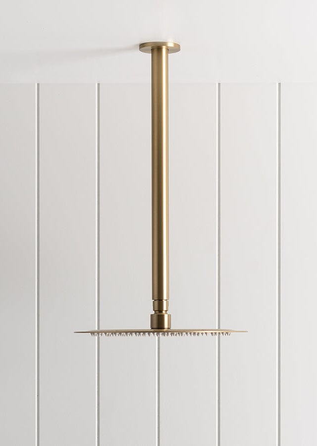 TileCloud TAPWARE Ceiling Shower Arm and Head Brushed Brass