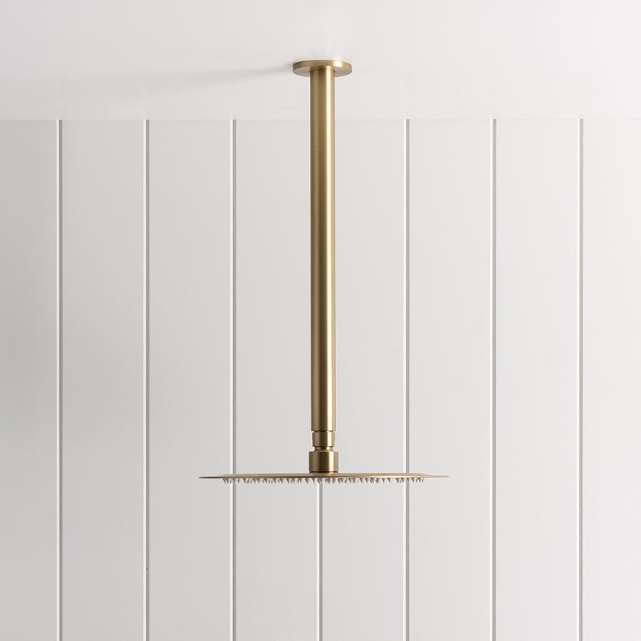 TileCloud TAPWARE Ceiling Shower Arm and Head Brushed Brass