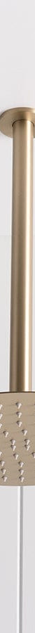 TileCloud TAPWARE Ceiling Shower Arm and Head Warm Brushed Nickel