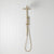 Combination Shower Brushed Brass