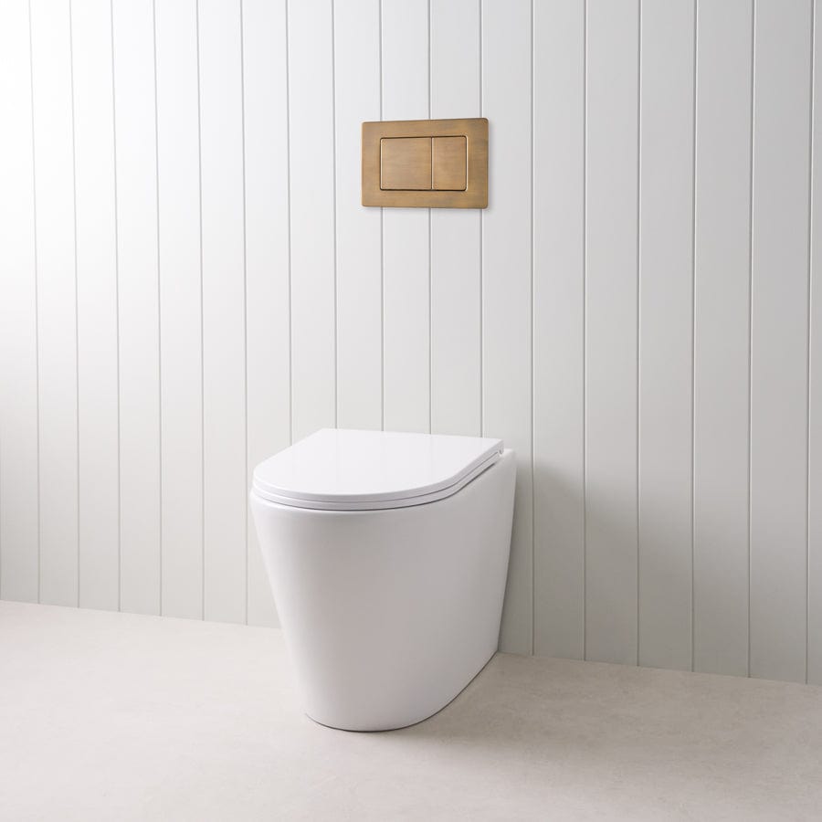 TileCloud TOILETS Angled In-Wall Toilet With Rectangle Antique Brass Buttons