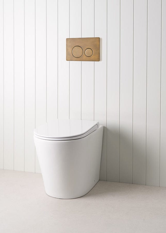 TileCloud TOILETS Angled In-Wall Toilet With Round Antique Brass Buttons