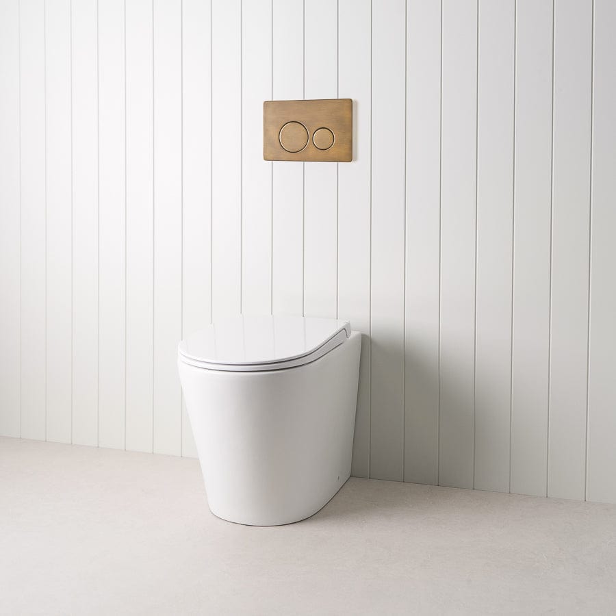 TileCloud TOILETS Angled In-Wall Toilet With Round Antique Brass Buttons