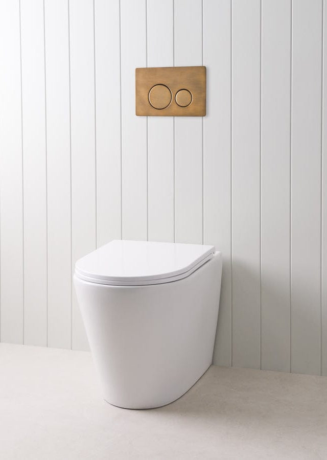 TileCloud TOILETS Angled In-Wall Toilet With Round Antique Brass Buttons