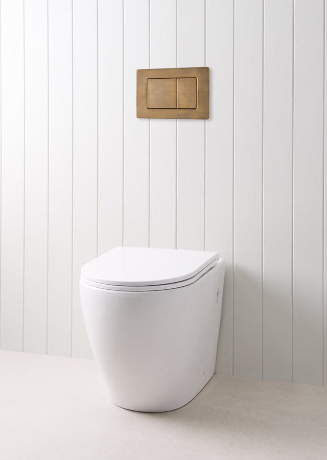 TileCloud TOILETS Curved In-Wall Toilet With Rectangle Antique Brass Buttons