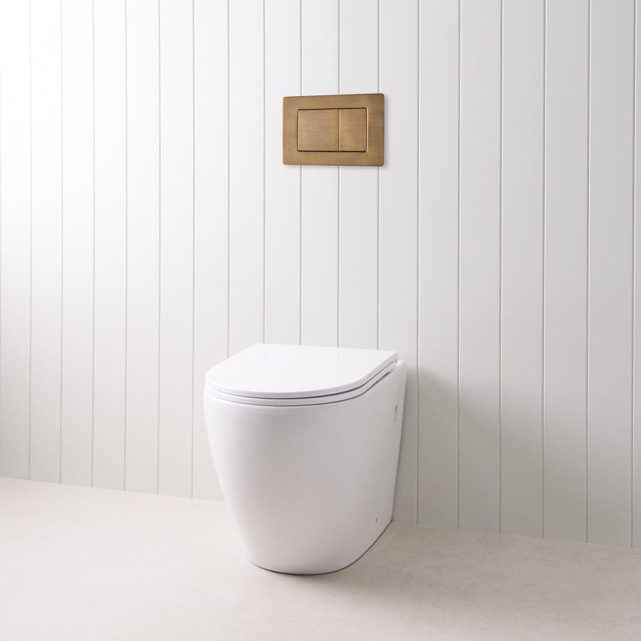 TileCloud TOILETS Curved In-Wall Toilet With Rectangle Antique Brass Buttons