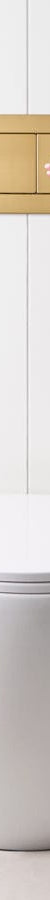 TileCloud TOILETS Curved In-Wall Toilet With Rectangle Brushed Brass Buttons