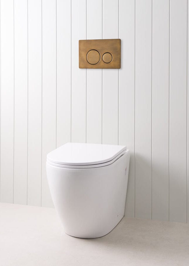 TileCloud TOILETS Curved In-Wall Toilet With Round Antique Brass Buttons