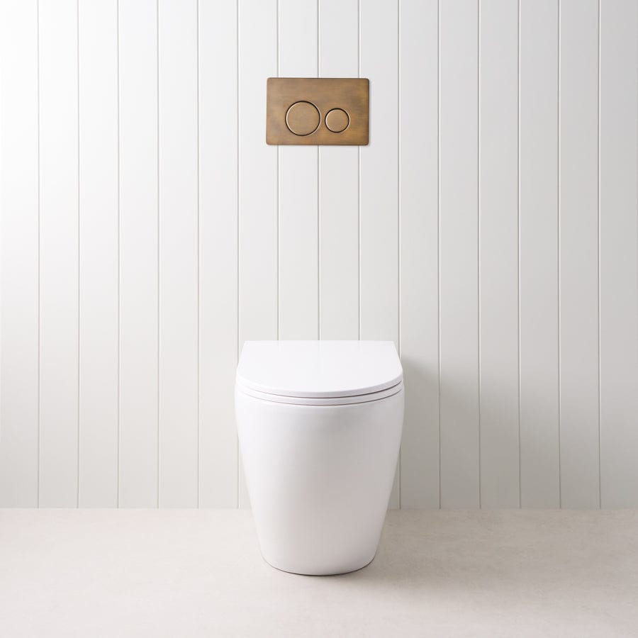 TileCloud TOILETS Curved In-Wall Toilet With Round Antique Brass Buttons