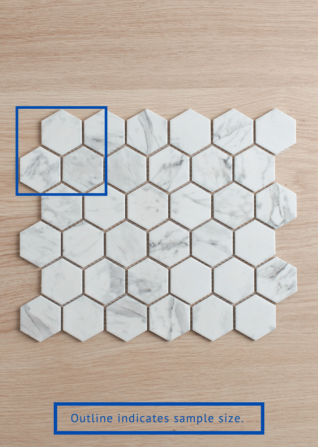 TileCloud TILE Coledale Matte Carrara Look Hexagon Tile