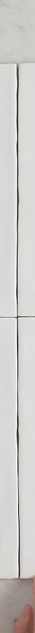 TileCloud TILE Newport Gloss Subway White Tile